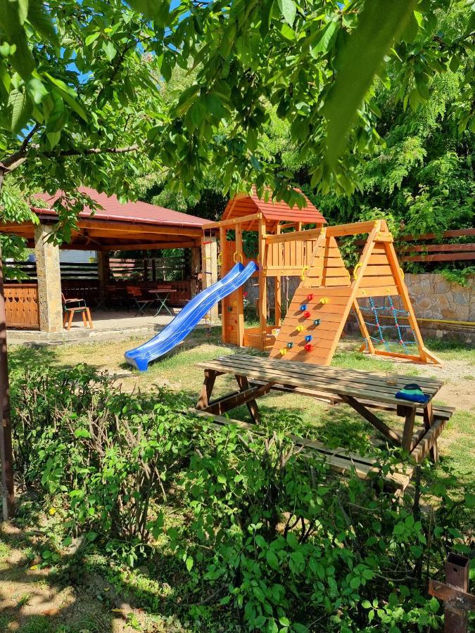 Pensiunea Moldova Piatra Neamţ Extérieur photo